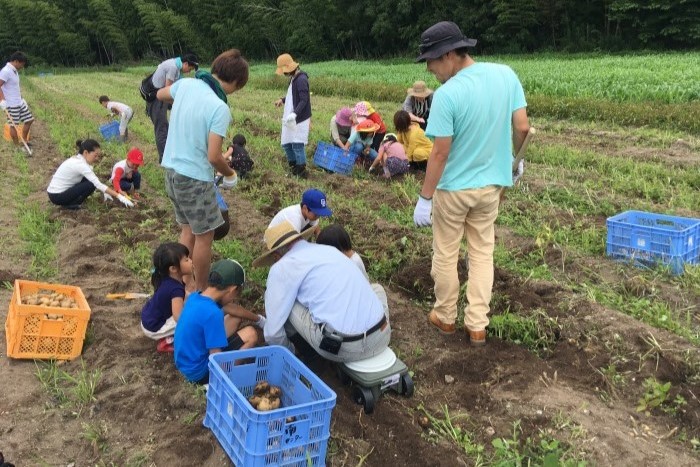 農作業体験の様子