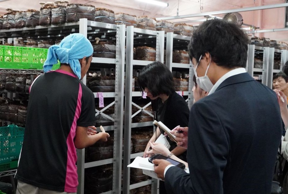 しいたけの収穫管理作業見学の様子