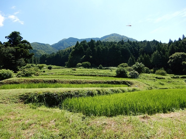 貝原2