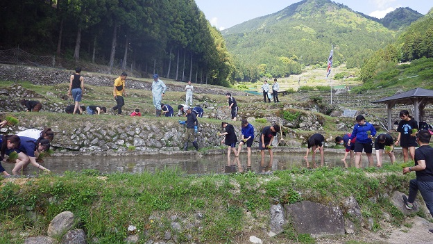 田植えの風景