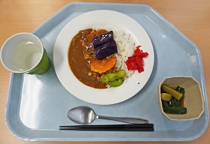夏野菜カレー