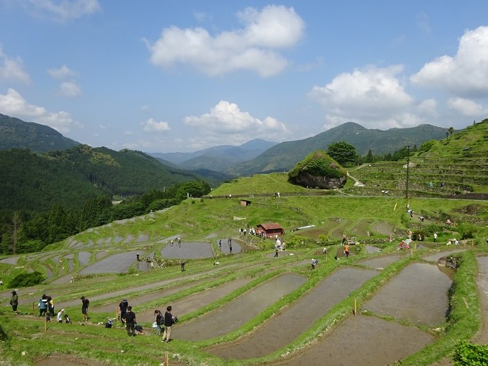 画像１