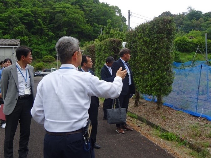 画像１