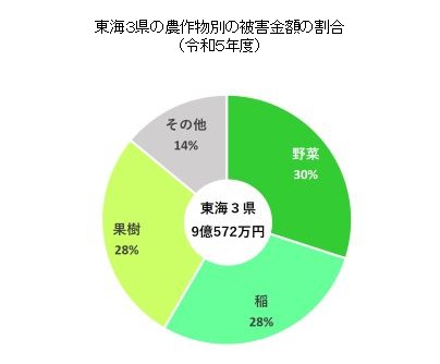 東海３県の農作物別の被害金額の割合（令和５年度）