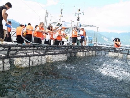 漁業体験(ブリ養殖場での給餌)
