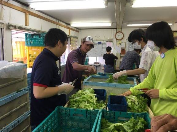 障がい者による農作業