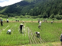 茶臼の里合同会社
