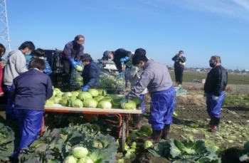 三重県障がい者就農促進協議会