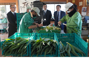 農作業施設「わか菜の杜」にて出荷調整作業の説明を受ける様子