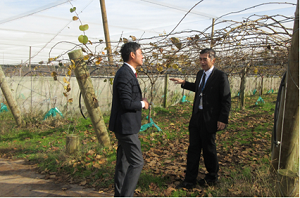 キウイフルーツ果樹園にて浅井専務取締役より説明を受ける様子