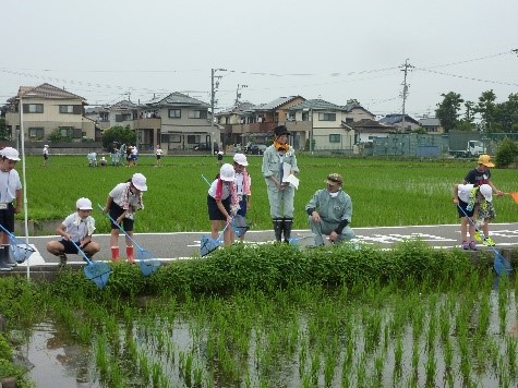 生き物調査