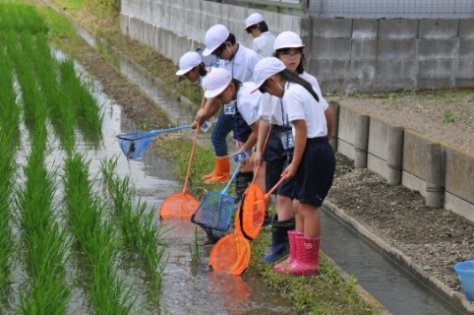 生き物調査