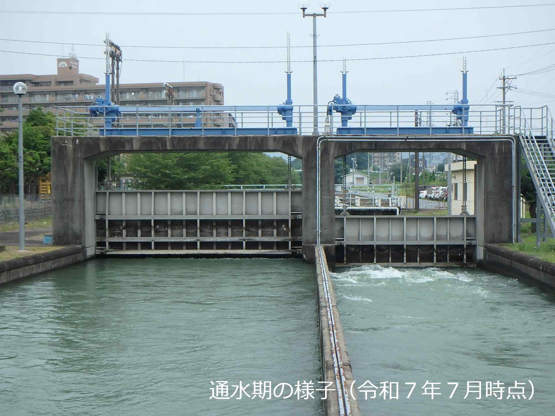通水期の用水路