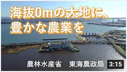 動画のサムネイル