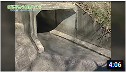 動画のサムネイル