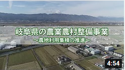 動画のサムネイル
