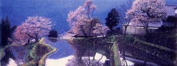 桜が咲く季節の里山・農村地域の水田風景