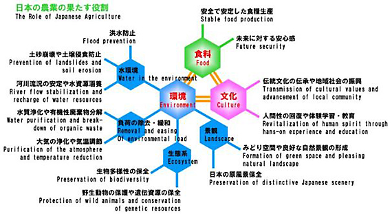 日本の農業の役割のフロー図。食料、環境、文化がつながっている。環境には水環境、負荷の除去・緩和、生態系、景観がつながっている。