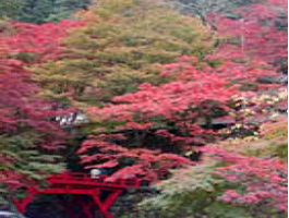 両界山横蔵寺