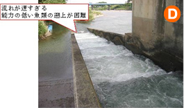 岡島頭首工イメージ