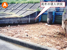 岡島頭首工イメージ