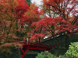 両界山横蔵寺