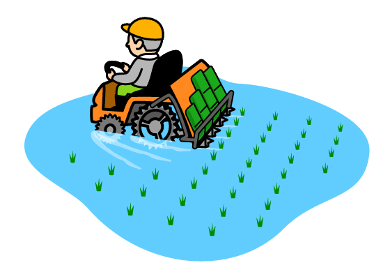 田植え