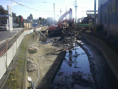 2008年11月撮影