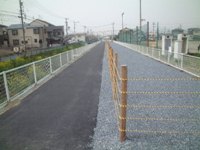 2007年4月撮影