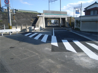 2008年3月撮影