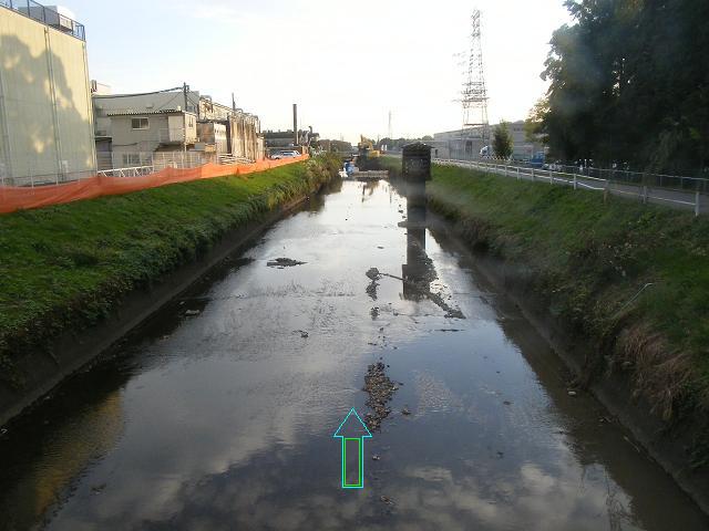 2008年10月撮影