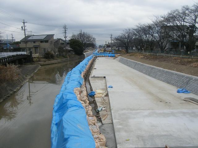 2009年1月撮影