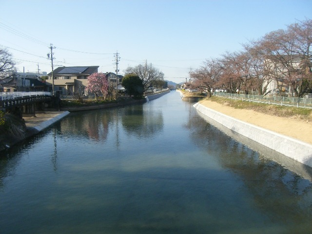 2009年3月撮影
