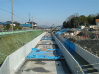 2008年2月撮影