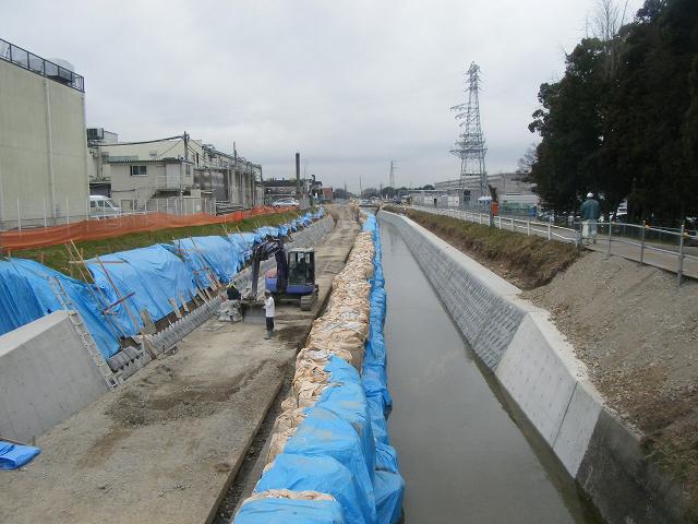 2009年1月撮影