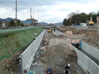 2008年1月撮影