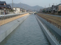 2007年4月撮影