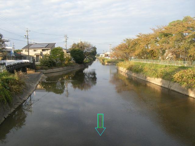 2008年10月撮影
