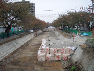 2008年10月撮影
