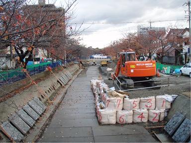 2008年11月撮影