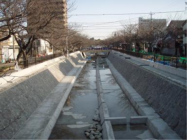 2009年2月撮影