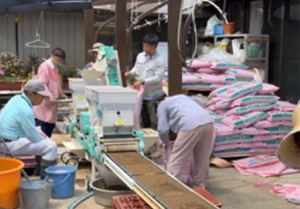 障害者の皆さんと稲の種まき作業
