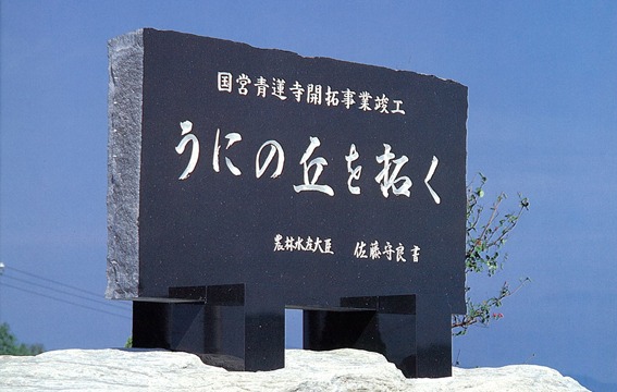 国営青蓮寺地区