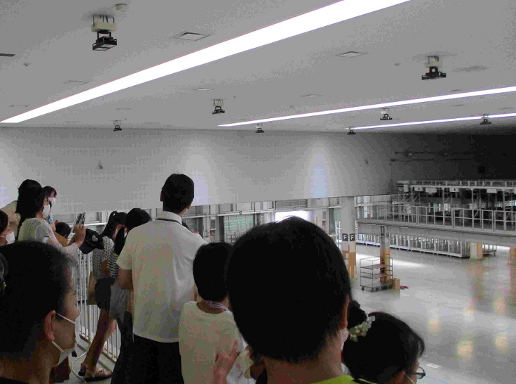 市場見学