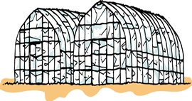 イメージ(ハウス)