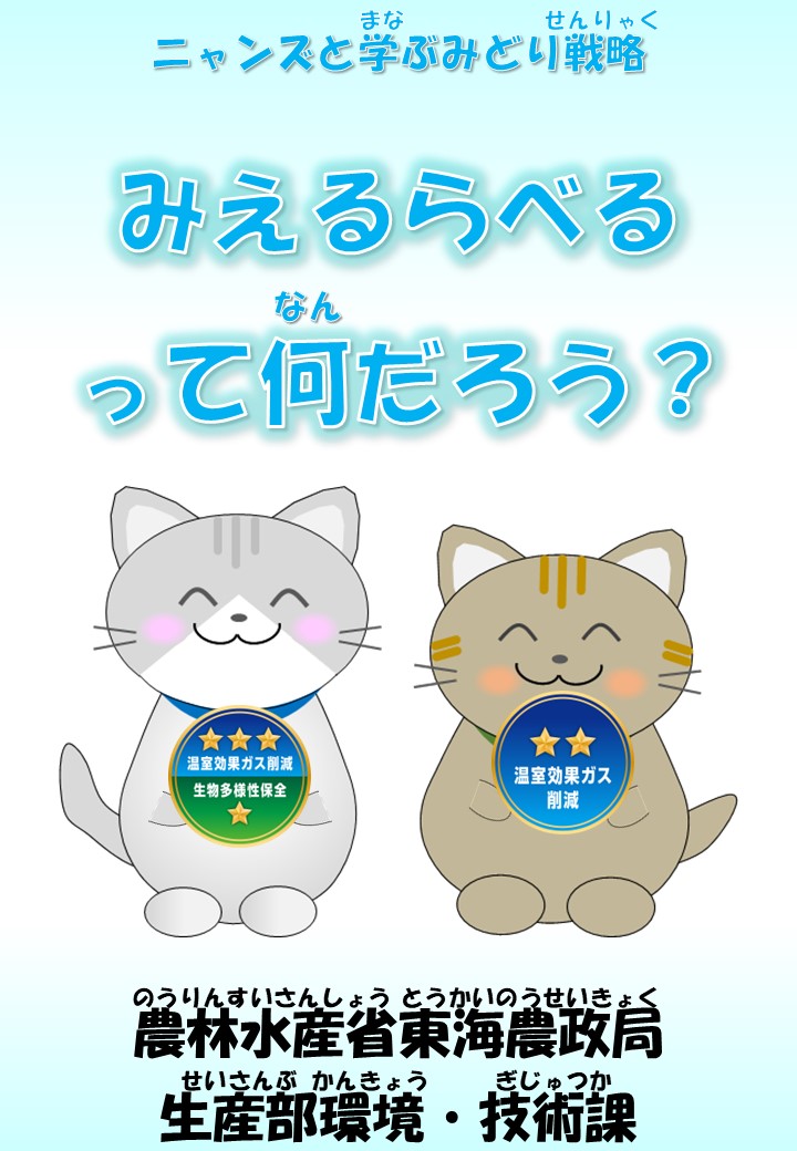 みえるらべる表紙