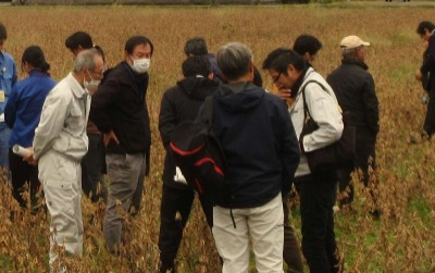 現地検討の様子