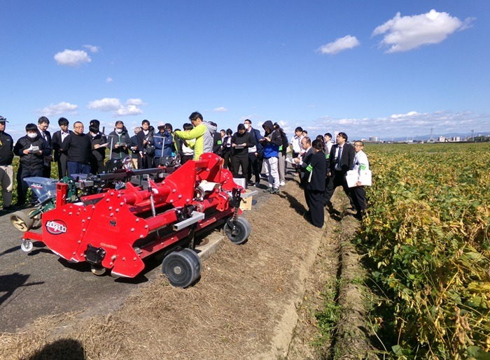 ほ場見学の様子
