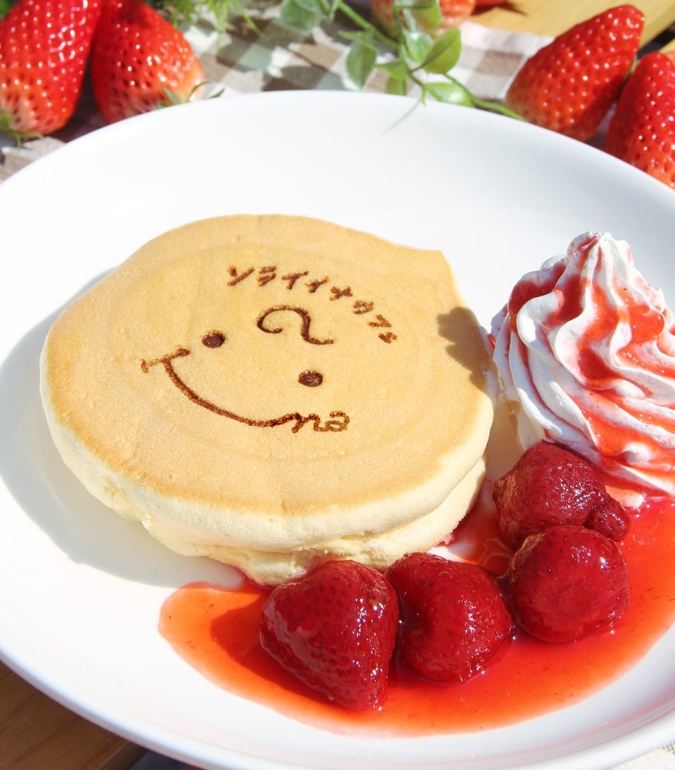 ソライイナカフェ