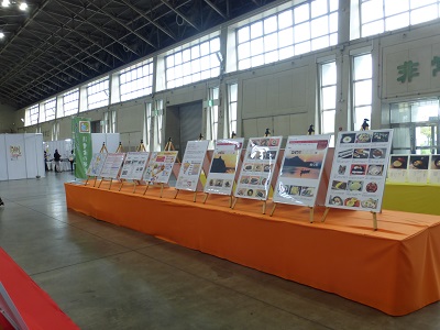展示の様子